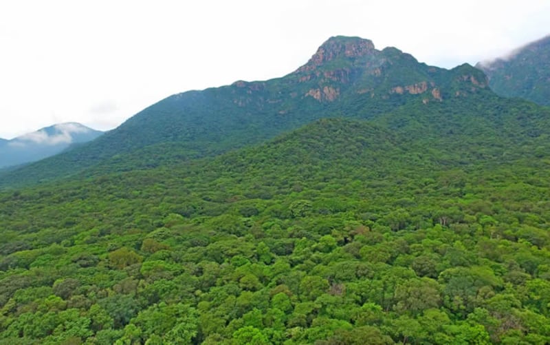 La Reserva Natural para Ver la Esperanza es un lugar para desarrollar el senderismo de una forma diferente en Valledupar, Cesar.