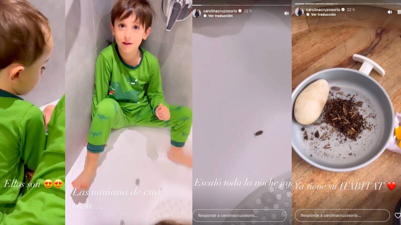 Carolina Cruz compartió el momento en que sus hijos encontraron una nueva mascota