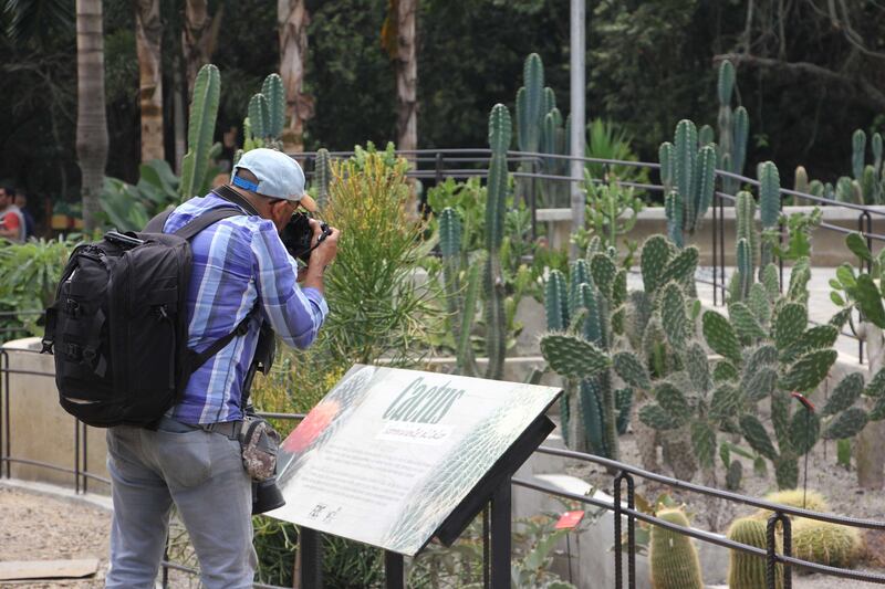 En Cali inaugurarán el Jardín Botánico de Cali, un espacio que reúne la vegetación y la flora del Valle del Cauca.