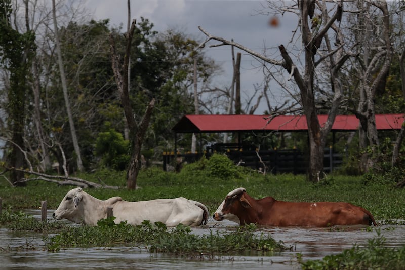 Ciénaga de Ayapel, en Córdoba, zona que hace parte del sistema hídrico de La Mojana, al norte de Colombia.