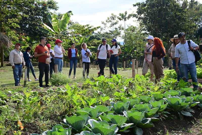 Huerta en Panaca.