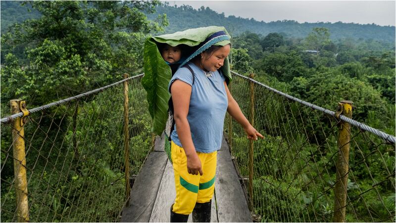 Nación U'wa espera fallo que defienda su territorio (Foto de cortesía)