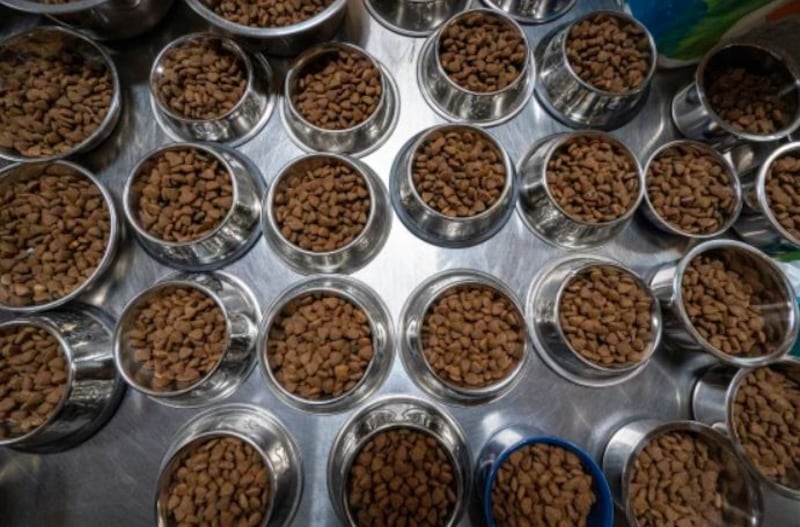 Los CDC instruyen la limpieza de todas las superficies que puedan haber estado en contacto con alimentos retirados del mercado.| Foto:  MediaNews Group/Orange County Re / MediaNews Group via Getty Images.