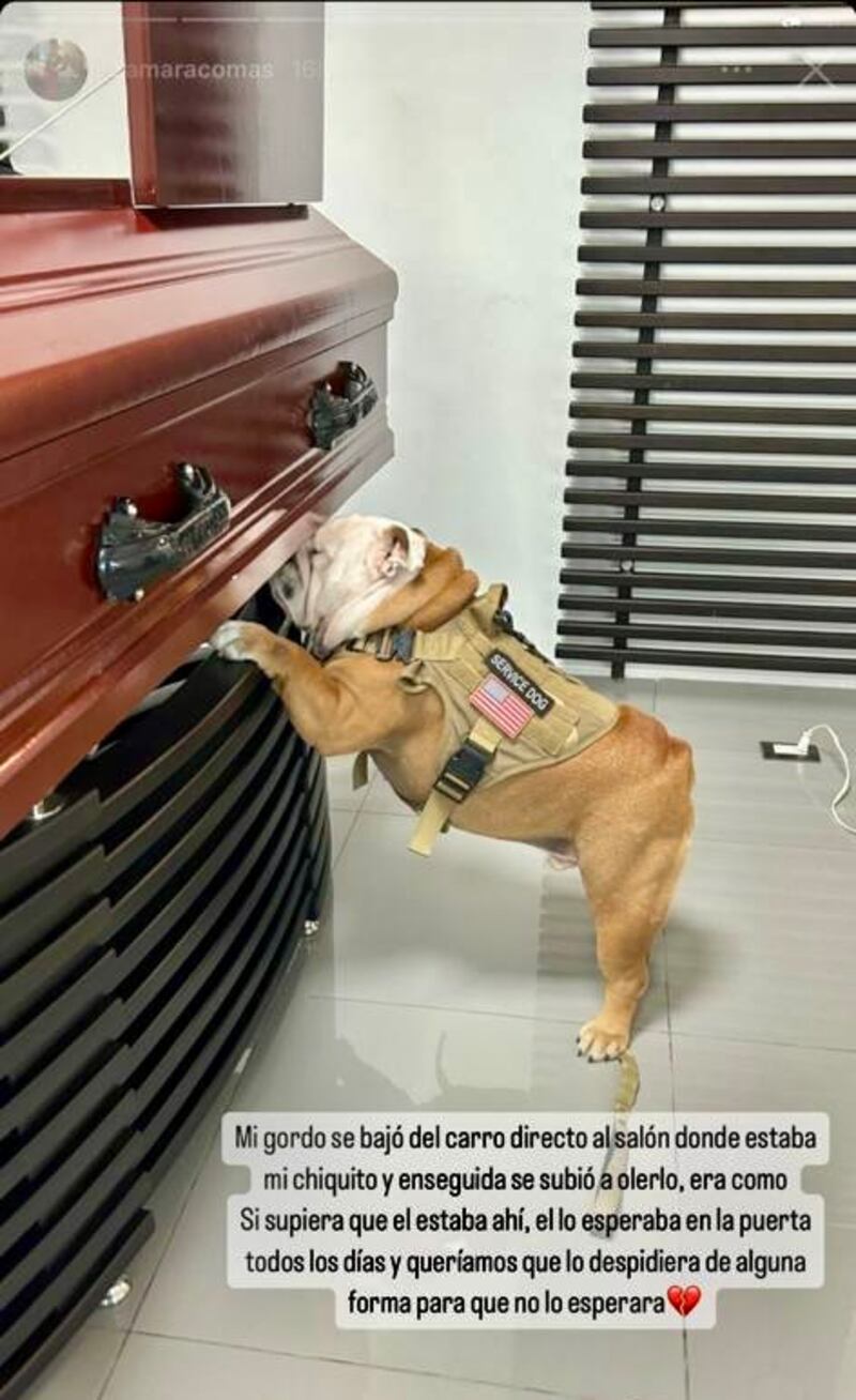El perro mascota de Jack Ramírez, joven que murió baleado para robarle el carro en Barranquilla, se despidió de su cuidador en su ataúd.