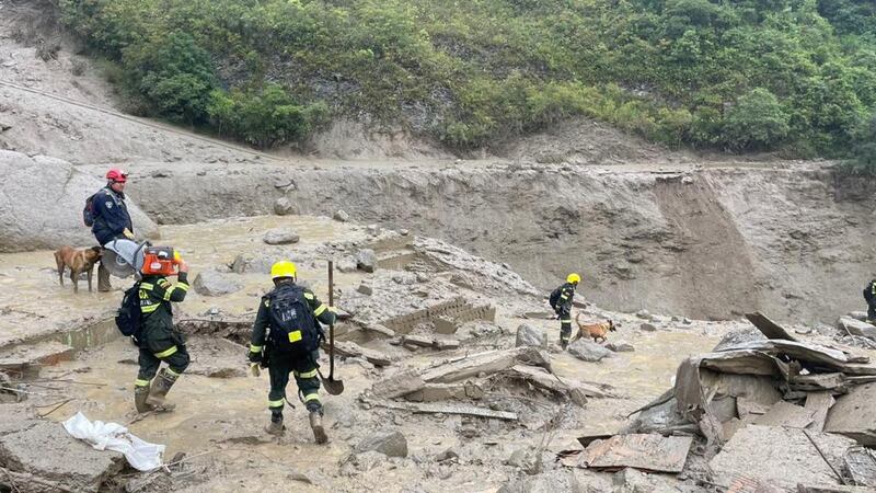 Ellos son los héroes de cuatro patas, como Wilson, que ayudan en la búsqueda de desaparecidos en Quetame