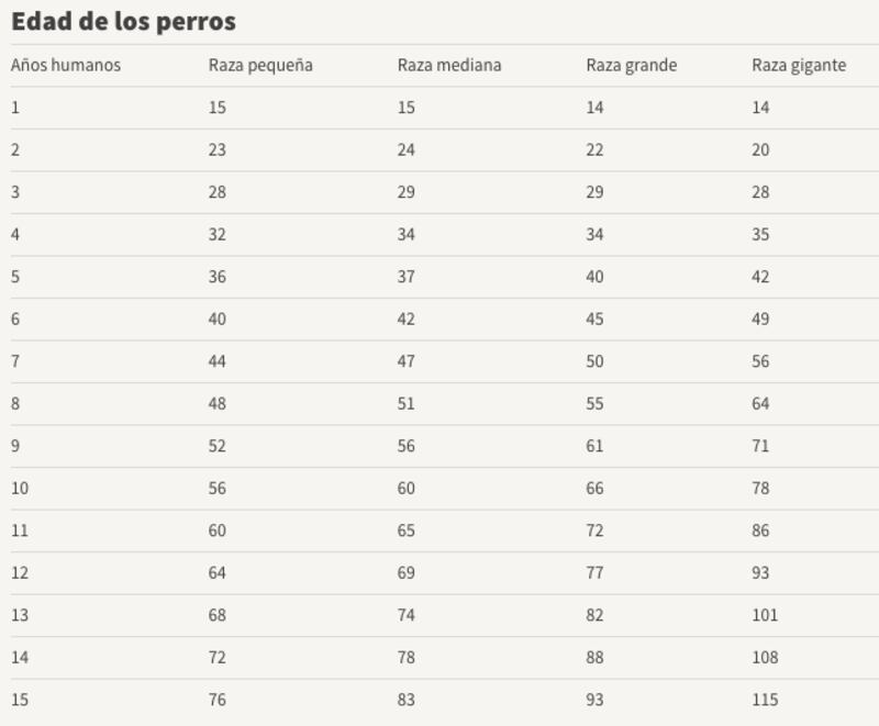 Tabla para calcular la edad de los perros