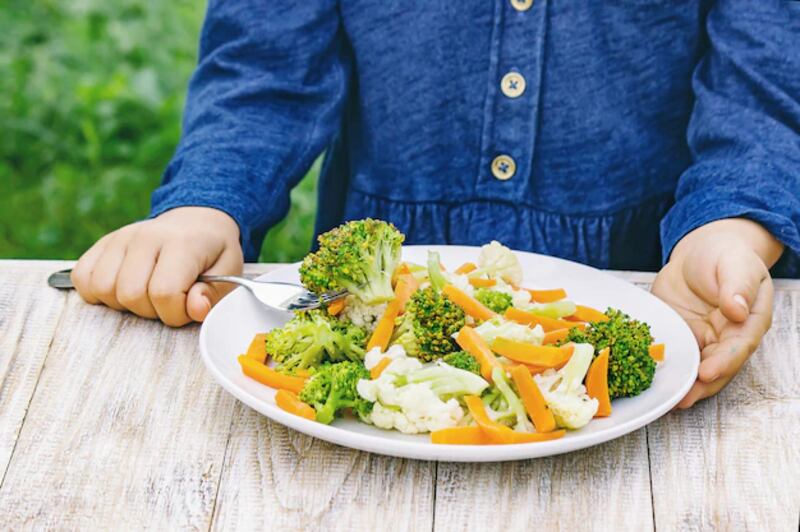 La comida ideal es la que se centra en verduras.