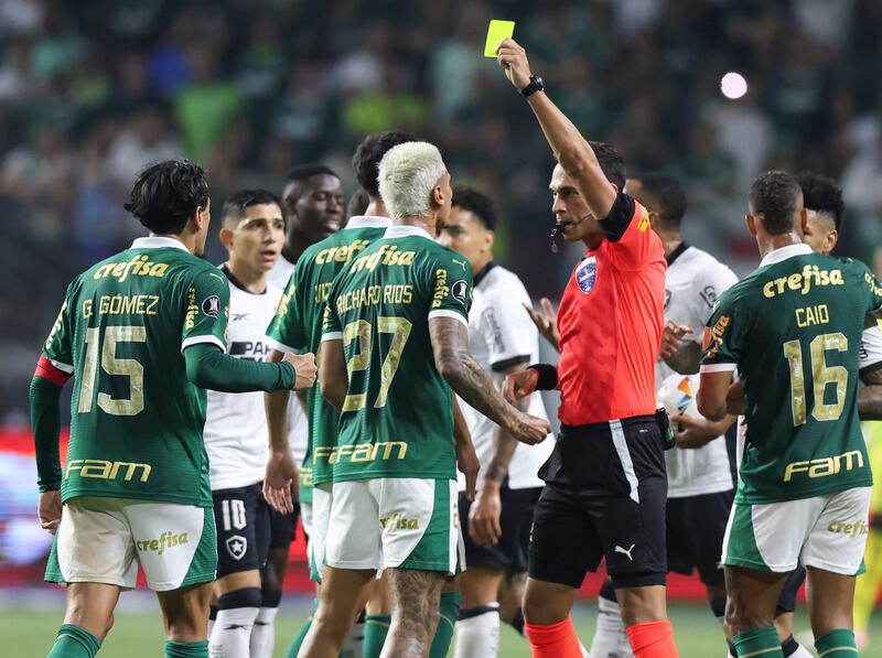 Palmeiras v Botafogo - Copa CONMEBOL Libertadores 2024