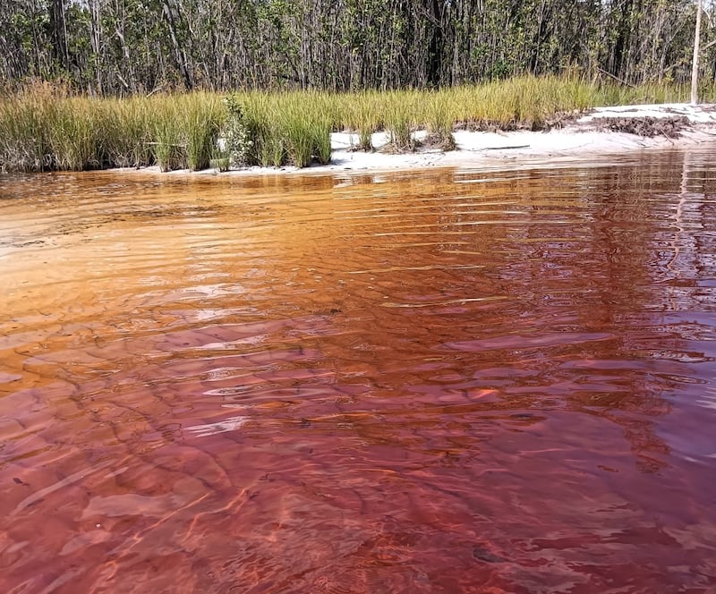 Aguas rojizas de Caño San Joaquín en Inírida, Guainía