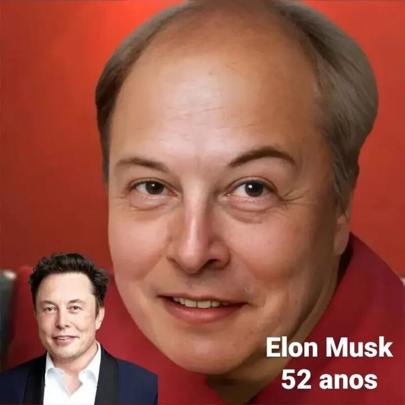 Elon Musk Hidreley Diao