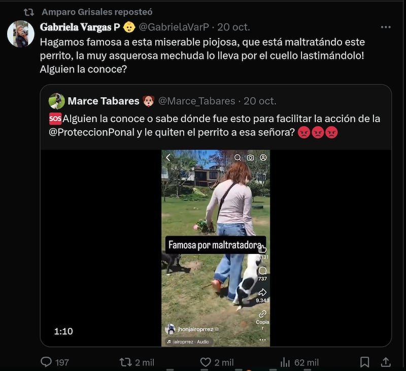 Amparo Grisales expuso públicamente a maltratadora de animales en sus redes sociales