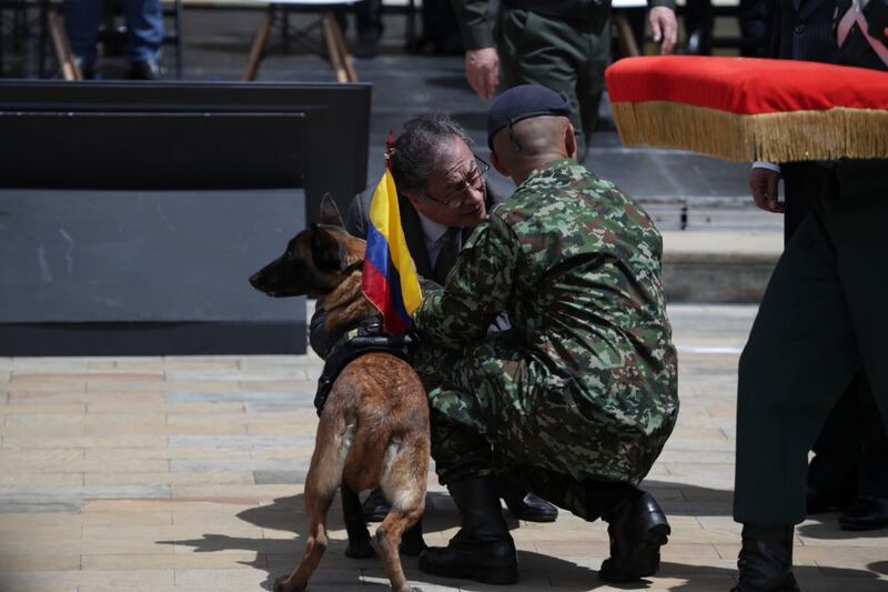 Condecoración a la mamá del perrito Wilson, que ayudó en el rescate de los cuatro niños en la selva.