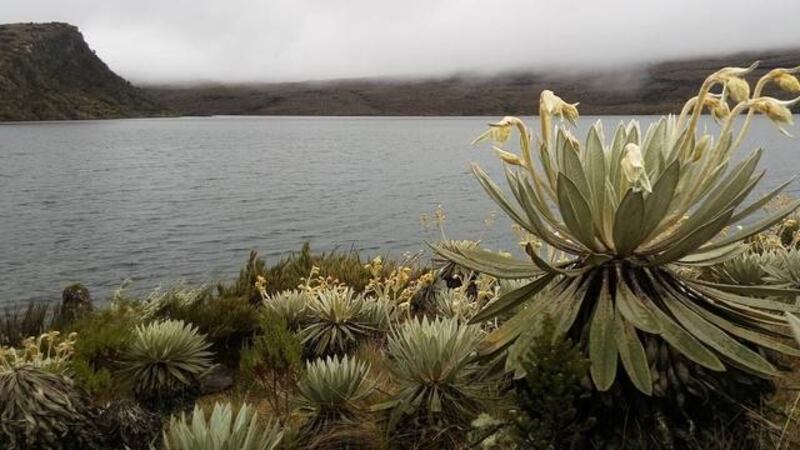 Páramo de Sumapaz