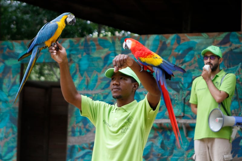 Muestra de aves al vuelo en el Aviario Nacional.