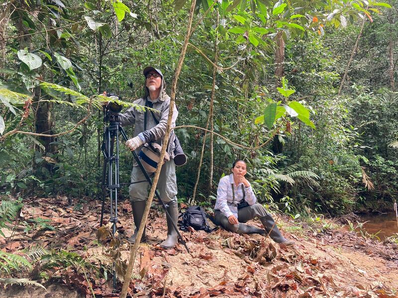 Equipo de la expedición en la búsqueda del periquito del Sinú.