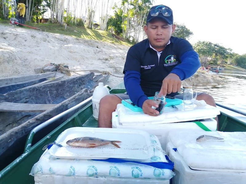 Toma de muestras de peces.