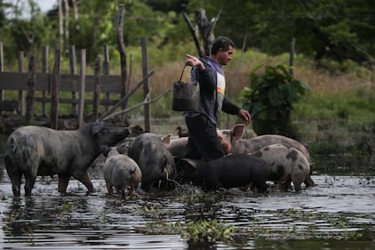 Ciénaga de Ayapel, en Córdoba, zona que hace parte del sistema hídrico de La Mojana, al norte de Colombia.