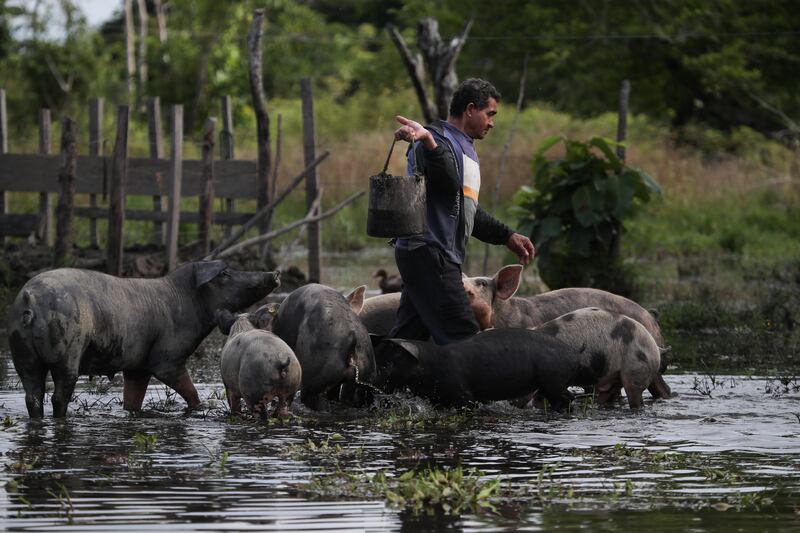 Ciénaga de Ayapel, en Córdoba, zona que hace parte del sistema hídrico de La Mojana, al norte de Colombia.