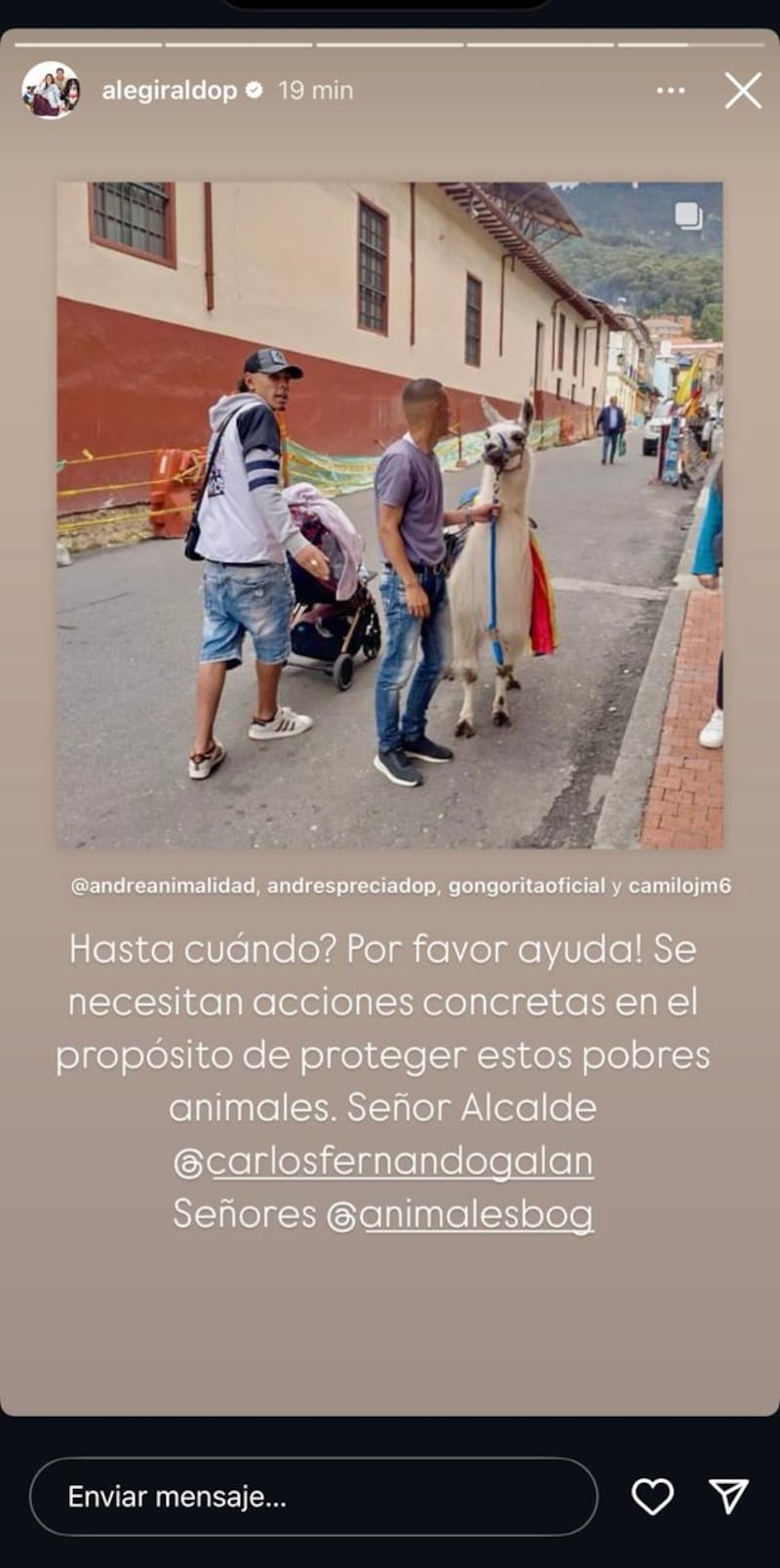 Alejandra Giraldo hizo un llamado para Carlos Galán ante los animales que utilizan para trabajar en Bogotá