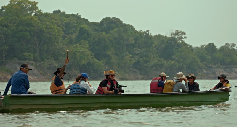 El regreso de 25 cocodrilos al río Orinoco, se convierte en un documental que será visto en la COP 16.