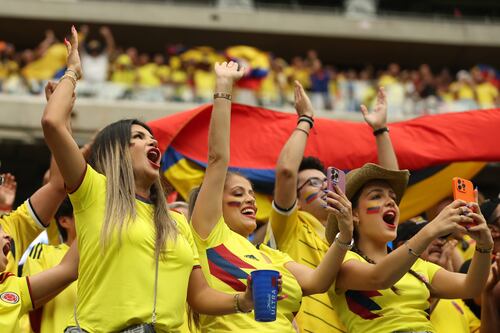 Hincha de la Selección Colombia se puso a buscar novio en pleno partido y hasta prometio visa americana