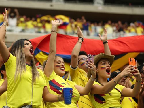 Hincha de la Selección Colombia se puso a buscar novio en pleno partido y hasta prometio visa americana