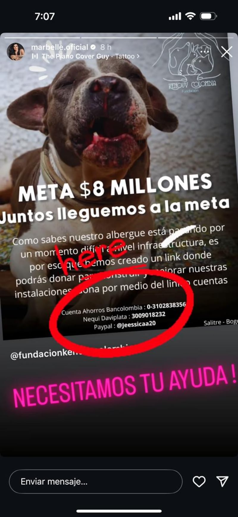 Marbelle pidió ayuda para perritos en condición de vulnerabilidad.