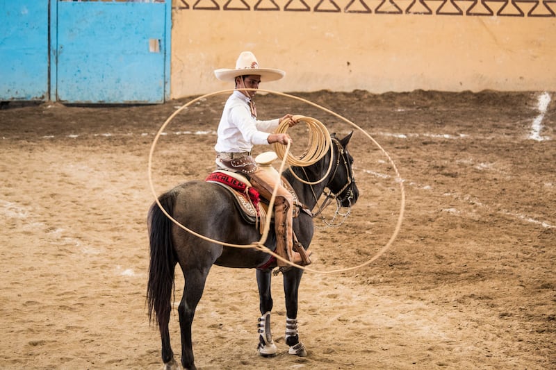 Carros de Jalisco