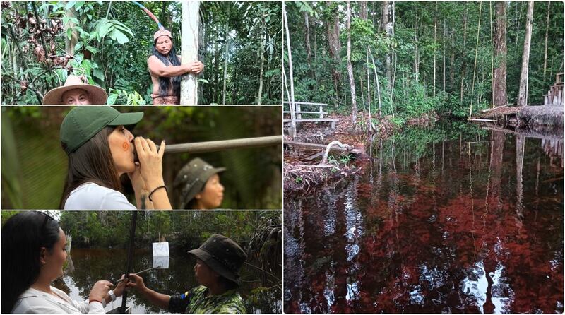 Técnicas de recolección indígena, tiro con cerbatana y flecha con arco. Nacedero de aguas rojas en Inírida, Guainía.