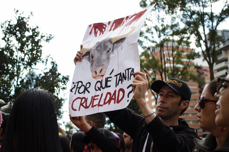 corridas de toros