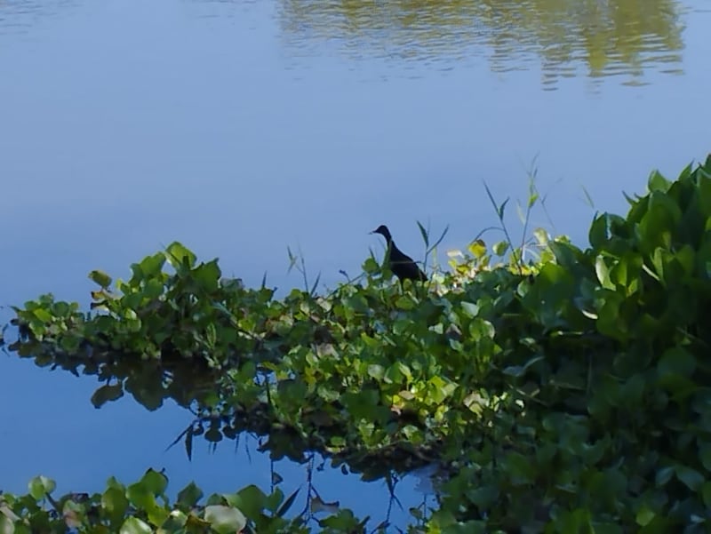 Ecoparque del Suroccidente: el regalo de Navidad de la comunidad de tres barrios al Distrito de Barranquilla.