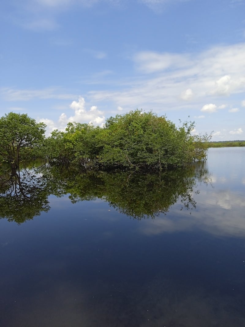 Caño en el Río Matavén.