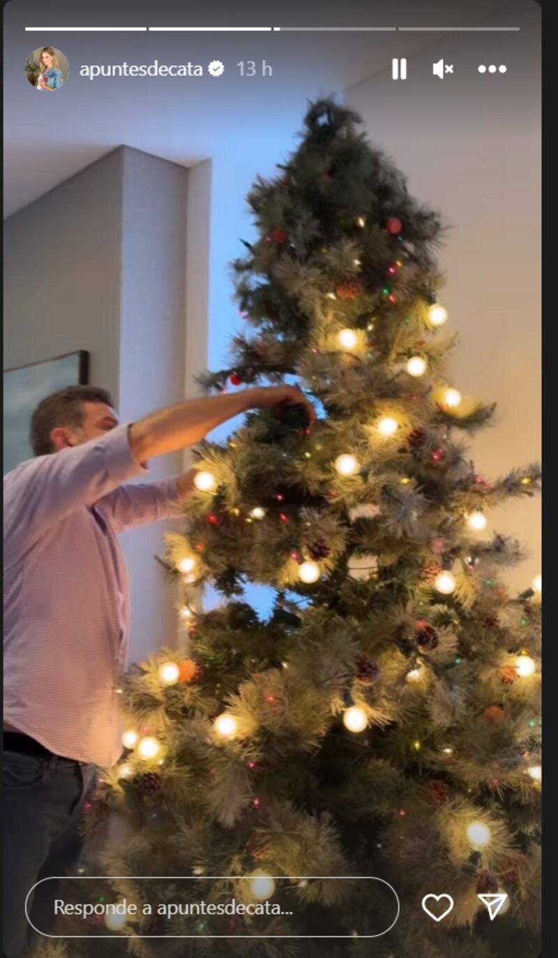 Catalina Gómez de Día a Día chicaneó el gigantesco árbol de navidad que adornara su casa en estas fiestas