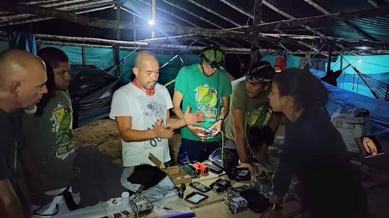 Campamento de la expedición en la búsqueda del periquito del Sinú.