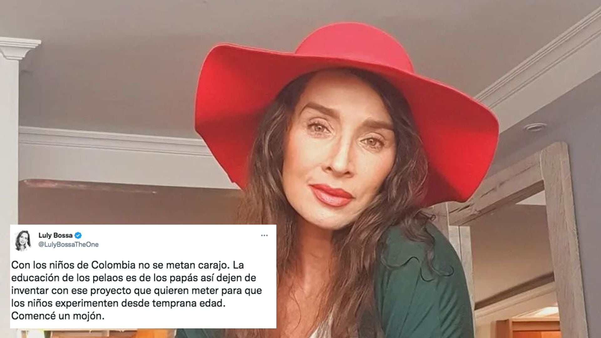 Luly Bossa criticó las cartillas de educación sexual y le recordaron su  video xxx – Publimetro Colombia